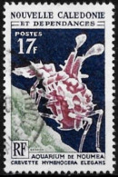 Nouvelle Calédonie 1964 - Yvert N° 324 - Michel N° 404 Oblitéré - Used Stamps