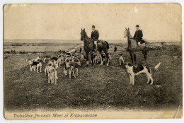 DUHALLOW HOUNDS MEET AT KILMACLENINE (FOX HUNTING) / BALLYHOOLY / SHERBOURNE, BLACKHORSE HOTEL (BURT) - Cork