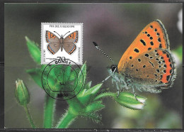 1991 Germany 70+30 Butterfly Stamp Maximum Card - Mariposas