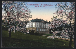 AK Wiesbaden, Hotel Forsthaus Platte  - Hunting