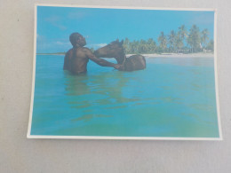 CPSM -  AU PLUS RAPIDE - CHEVAL - HORSE  PFERDE - NOUVELLE CALEDONIE - BAIN DE MER    -  VOYAGEE NON  TIMBREE - Cavalli