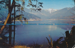 R034219 The Lions From Cleveland Dam. Vancouver. B. C. 1959 - Wereld