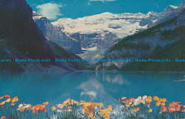 R034238 Canadian Rockies. The Poppies. Lake Louise. 1962 - World