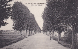 La Chapelle Saint Mesmin (45 Loiret) Allée Des Tilleuls - édit. H. C. N° 23 Circulée 1917 - Other & Unclassified