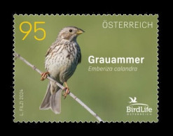 Austria 2024 Mih. 3785 Fauna. Birds. Corn Bunting MNH ** - Ongebruikt