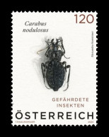 Austria 2024 Mih. 3786 Fauna. Black Pit Beetle MNH ** - Neufs