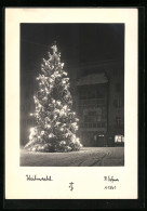 Foto-AK Adalbert Defner: Weihnacht, Leuchtender Tannenbaum  - Altri & Non Classificati