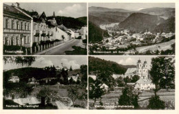 73943695 Weissenbach_Triesting Triestingholm Schneeberg Neuhaus Triestingtal Wal - Altri & Non Classificati