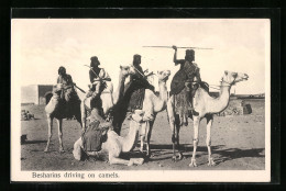 AK Besharins Driving On Camels  - Ohne Zuordnung