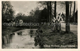 73283208 Zeeland Walcheren Zeeuws Landschap Zeeland - Andere & Zonder Classificatie