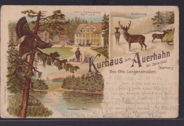 Ansichtskarte Zellerfeld N. Harburg Kurhaus Z. Auerhahn Bes. Otto Langenstrassen - Other & Unclassified