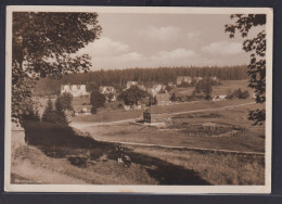 Ansichtskarte Bockwiese Ortsansicht Landschaft Wald Niedersachsen - Other & Unclassified