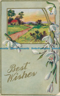 R035175 Greeting Postcard. Best Wishes. Path. 1909 - Wereld