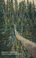 R034872 Cable Foot Bridge Across Capilano Canyon. Vancouver. B. C. MacFarlane. 1 - Wereld