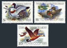 Russia 5783-5785,MNH.Michel 5965-5967. Ducks 1989. - Ungebraucht