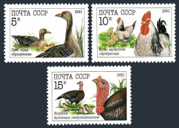 Russia 5909-5911, MNH. Michel 6102-6104. Poultry, 1990. Geese, Rooster, Turkeys. - Nuovi