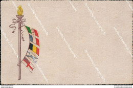 As111 Cartolina Militare Bandiere - Andere & Zonder Classificatie