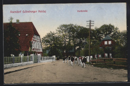 AK Asendorf / Lüneburger Heide, Dorfstrasse Mit Kuhherde  - Lüneburg