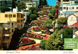 73244672 San_Francisco_California Lombard Street  - Autres & Non Classés