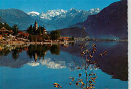 13950793 Brienz_Brienzersee_BE Planplatte Sustenhorn Tierberge Maehrenhorn Stein - Sonstige & Ohne Zuordnung