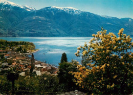 13950779 Ascona_Lago_Maggiore_TI Panorama - Sonstige & Ohne Zuordnung