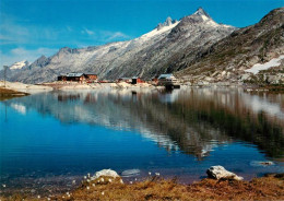 13950753 Grimsel_Passhoehe Totensee Und Gerstenhoerner - Otros & Sin Clasificación