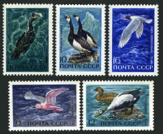Russia 3939-3943 Blocks/4, MNH. Michel 3974-3978. Waterfowl In USSR 1972. - Neufs