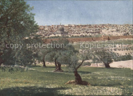 11660289 Jerusalem Yerushalayim Blick Vom Oelberg  - Israël