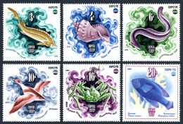 Russi 4343-4348, MNH. Michel 4376-4381. Oceanexpo-1975. Fish, Bird, Crab, Shell, - Neufs