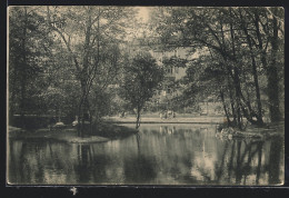 AK Hamburg-Eimsbüttel, Im Park  - Eimsbüttel