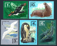 Russia 4679-4683, MNH. Mi 4742-4746. Antarctic Fauna,1978. Penguins,Sea Elephant - Unused Stamps