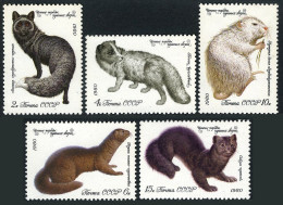 Russia 4838-4842, MNH. Michel 4968-4972. Animals 1980.Dark Silver Fox,Polar Fox, - Ongebruikt