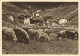 11659003 Glarus GL Schafherde Ortsansicht Glarus GL - Sonstige & Ohne Zuordnung