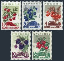 Russia 2975-2979, MNH. Michel 2996-3000. Wild Berries 1964. - Nuevos