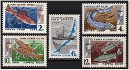 Russia 3240-3244, MNH. Michel 3264-3268. Fish Resources Of Lake Baikal, 1996. - Nuovi