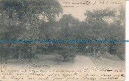 R035724 Nantes. Le Jardin Des Plantes. L Allee Des Mongolias. LL. No 10. 1903 - Welt