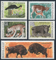 Russia 3640-3644, MNH. Mi 3667-3771. Black Stork, Red Deer,fawn,bison,pig. 1969. - Unused Stamps