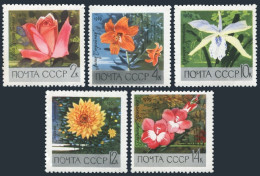 Russia 3596-3600, MNH. Mi 3620-3624. Botanical Gardens, 1969. Flowers. Orchid. - Nuevos