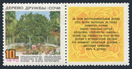 Russia 3712-label Two Stamps, MNH. Michel 3742. Friendship Tree, Sochi, 1970. - Ungebraucht