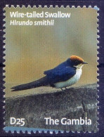 Wire Tailed Swallow, Birds, Gambia 2009 MNH - Uccelli Canterini Ed Arboricoli