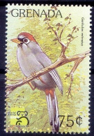 Grenada 1999 MNH, Chestnut-capped Laughingthrush, Birds - Pájaros Cantores (Passeri)