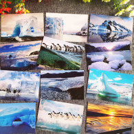 China Postcard A Set Of 16 Polar Close-up Postcards With Ice And Snow In Antarctica - Chine