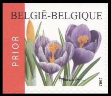 3141b**(B41/C41) - Crocus / Krokus - BUZIN - Ongebruikt