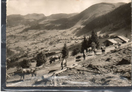 CHATEL // Lot A5 - Châtel