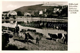 73279387 Hahnenklee-Bockswiese Harz Kuhherde Am Teich Hahnenklee-Bockswiese - Goslar