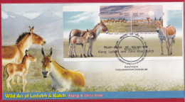 India 2013 Indian Wild Ass, Animal,Kiang: Ladakh And Ghor Khar: Kutch, IUCN, FDC, Cover (**) Ine Indien - Briefe U. Dokumente