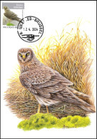 CM/MK°  Busard Saint-Martin / Blauwe Kiekendief / Kornweihe / Hen Harrier - Pince & Loupe - BXL-BSL - 02-04-2024 - BUZIN - 1985-.. Vögel (Buzin)