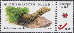 DUOSTAMP** / MYSTAMP** - Buzin - Lézard Des Murailles / Muurhagedis / Mauereidechse / Wall Lizard - Autres & Non Classés