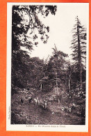 08157 ● ( Etat Parfait ) AZROU Maroc En Mission Dans La Foret 1920s Photo FLANDRIN - Sonstige & Ohne Zuordnung