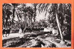 08177 ● BISKRA Algérie Route De TOUGGOURT 1960s Real-Photo-Bromure CAP 286ND - Biskra